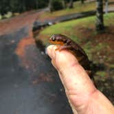 Review photo of South Beach State Park Campground by Erik C., May 15, 2020