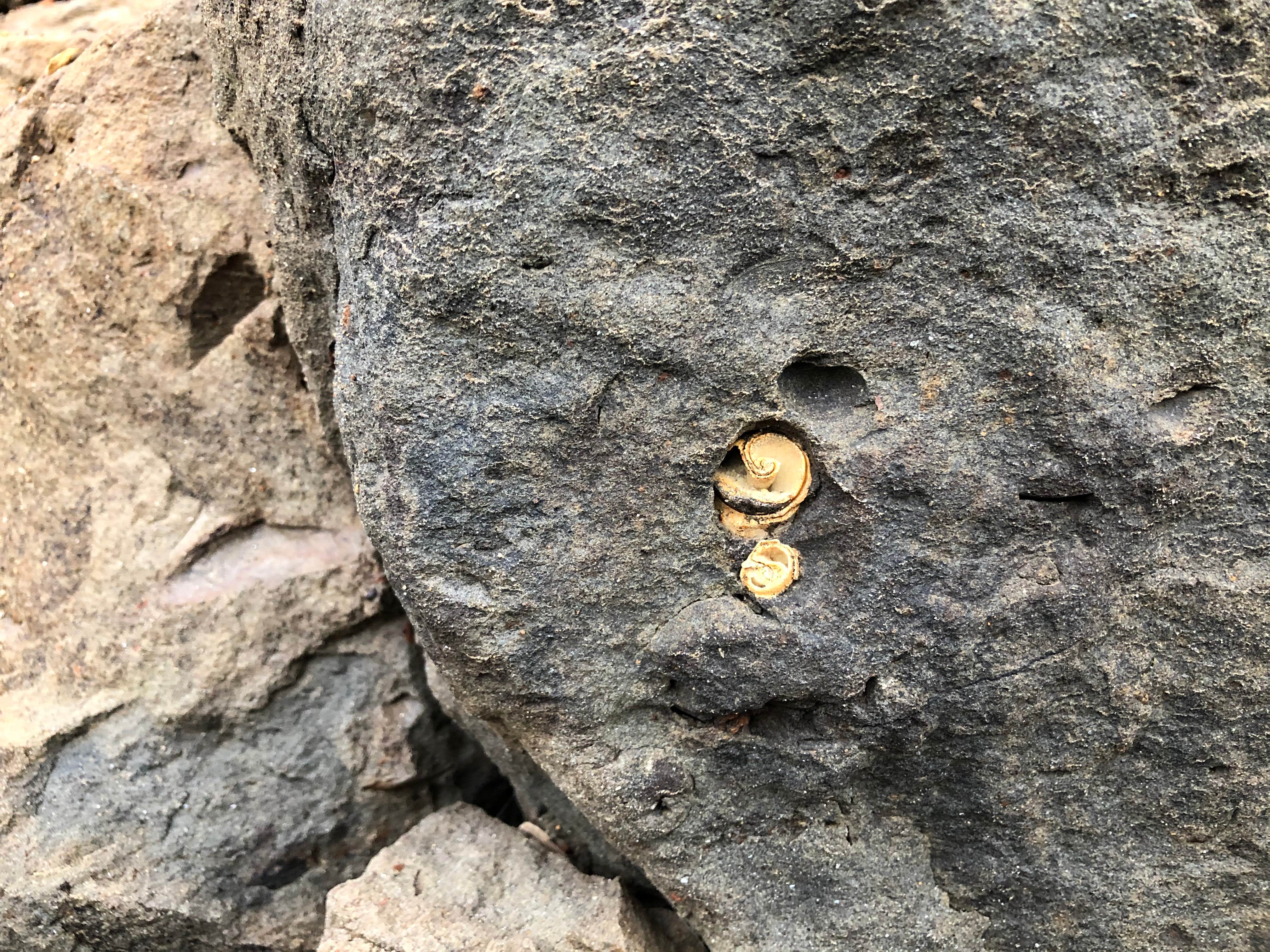 Camper-submitted photo at Beverly Beach State Park Campground in Oregon
