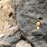 Review photo of Beverly Beach State Park Campground by Erik C., May 15, 2020