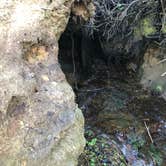 Review photo of Beverly Beach State Park Campground by Erik C., May 15, 2020