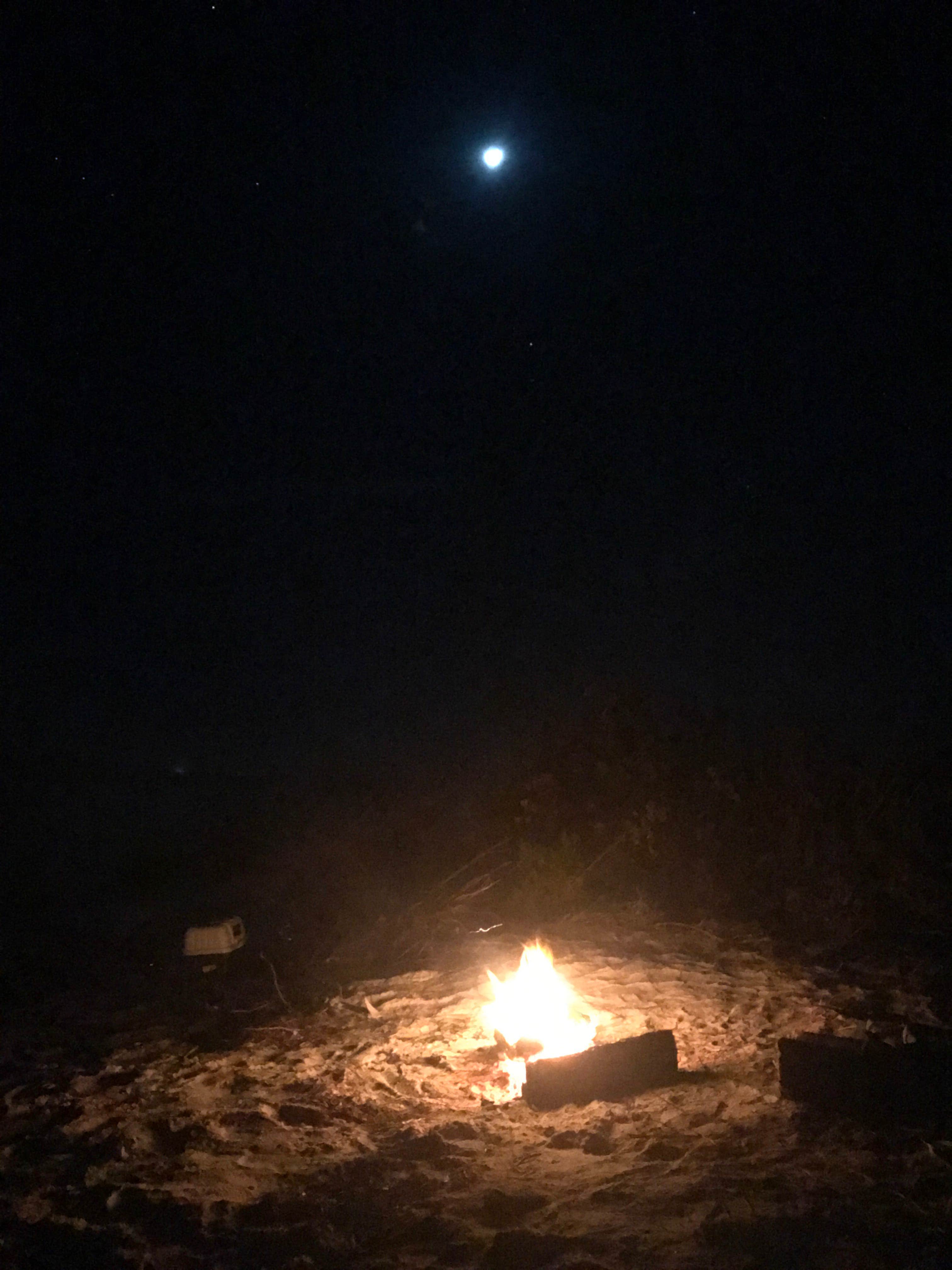 Camper submitted image from Shell Key Preserve - 2