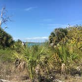 Review photo of Shell Key Preserve by Alyssa D., May 15, 2020