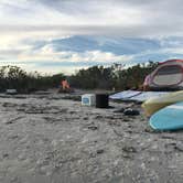 Review photo of Shell Key Preserve by Alyssa D., May 15, 2020