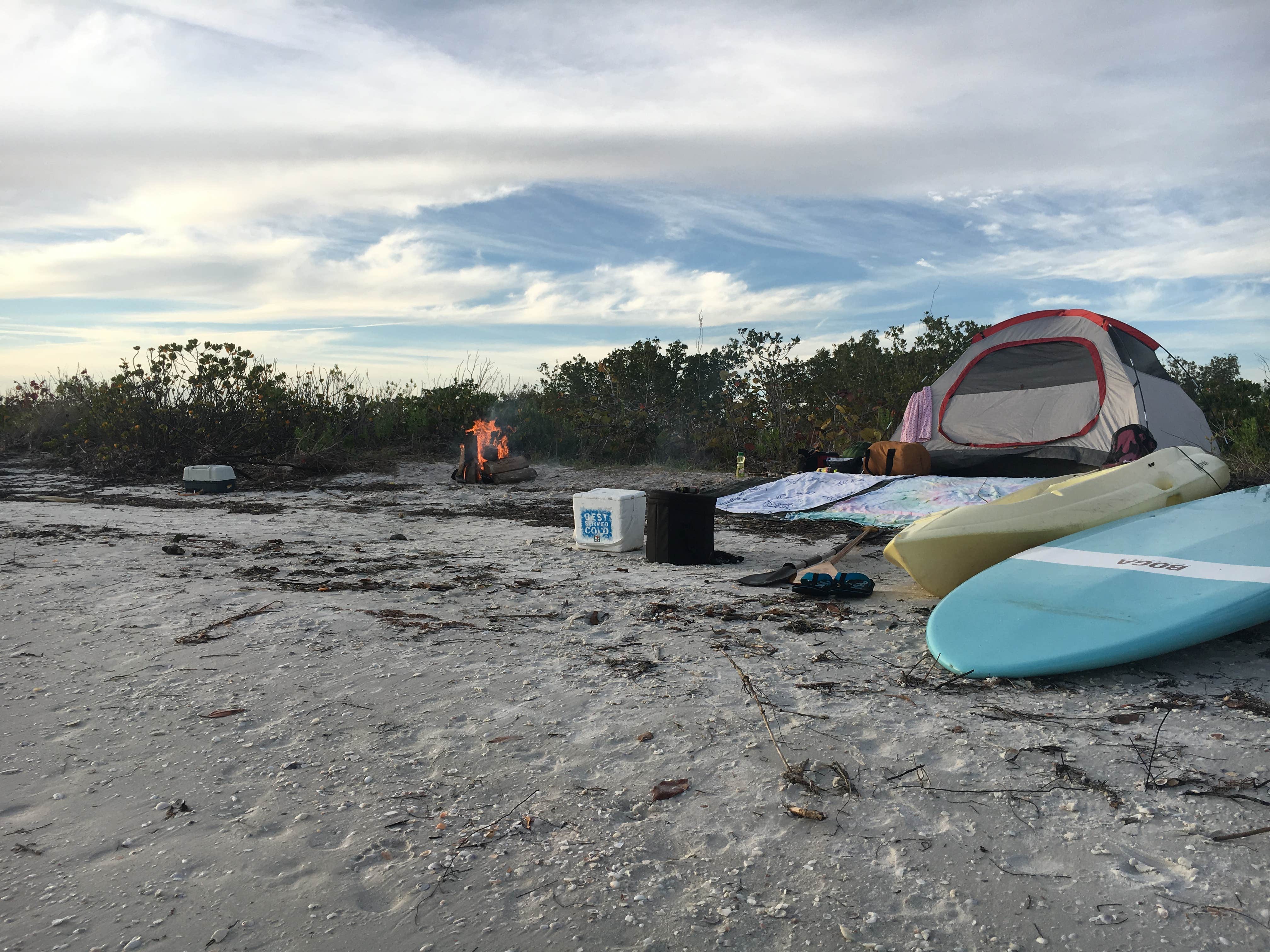 Camper submitted image from Shell Key Preserve - 3