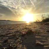 Review photo of Shell Key Preserve by Alyssa D., May 15, 2020