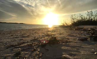 Alyssa D.'s photo of a dispersed camping area at Shell Key Preserve in Florida