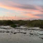 Review photo of Shell Key Preserve by Alyssa D., May 15, 2020
