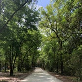 Review photo of Ginnie Springs Outdoors by Alyssa D., May 15, 2020
