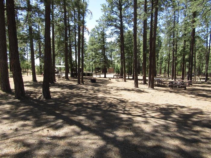 Camper submitted image from Ponderosa Group Campground — Bandelier National Monument - 3