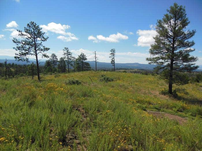 Ponderosa Group Campground — Bandelier National Monument Los Alamos Nm