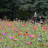 Review photo of R. Shaefer Heard Campground by Dorraine S., September 26, 2017