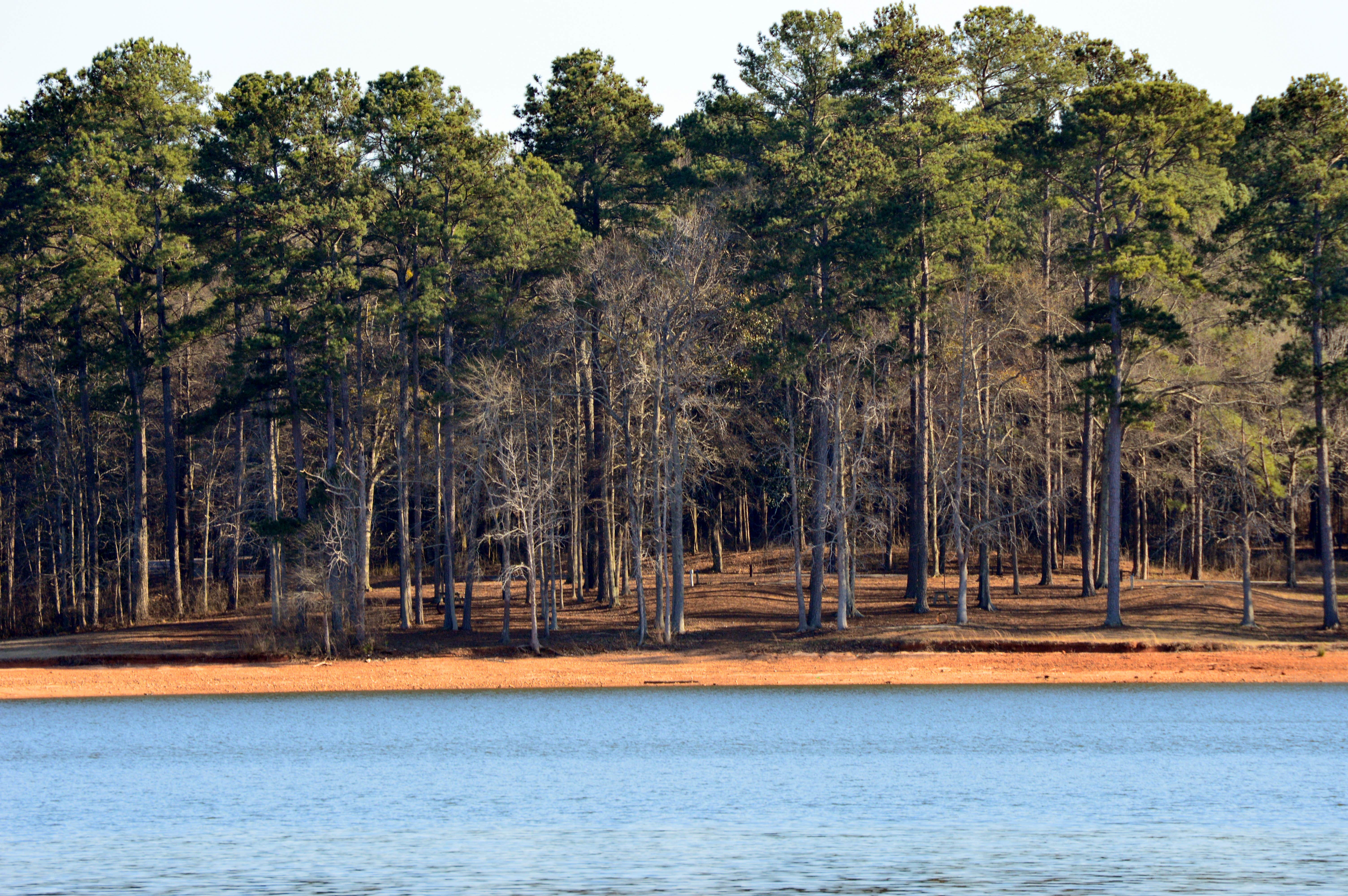 Camper submitted image from Amity Campground - 2