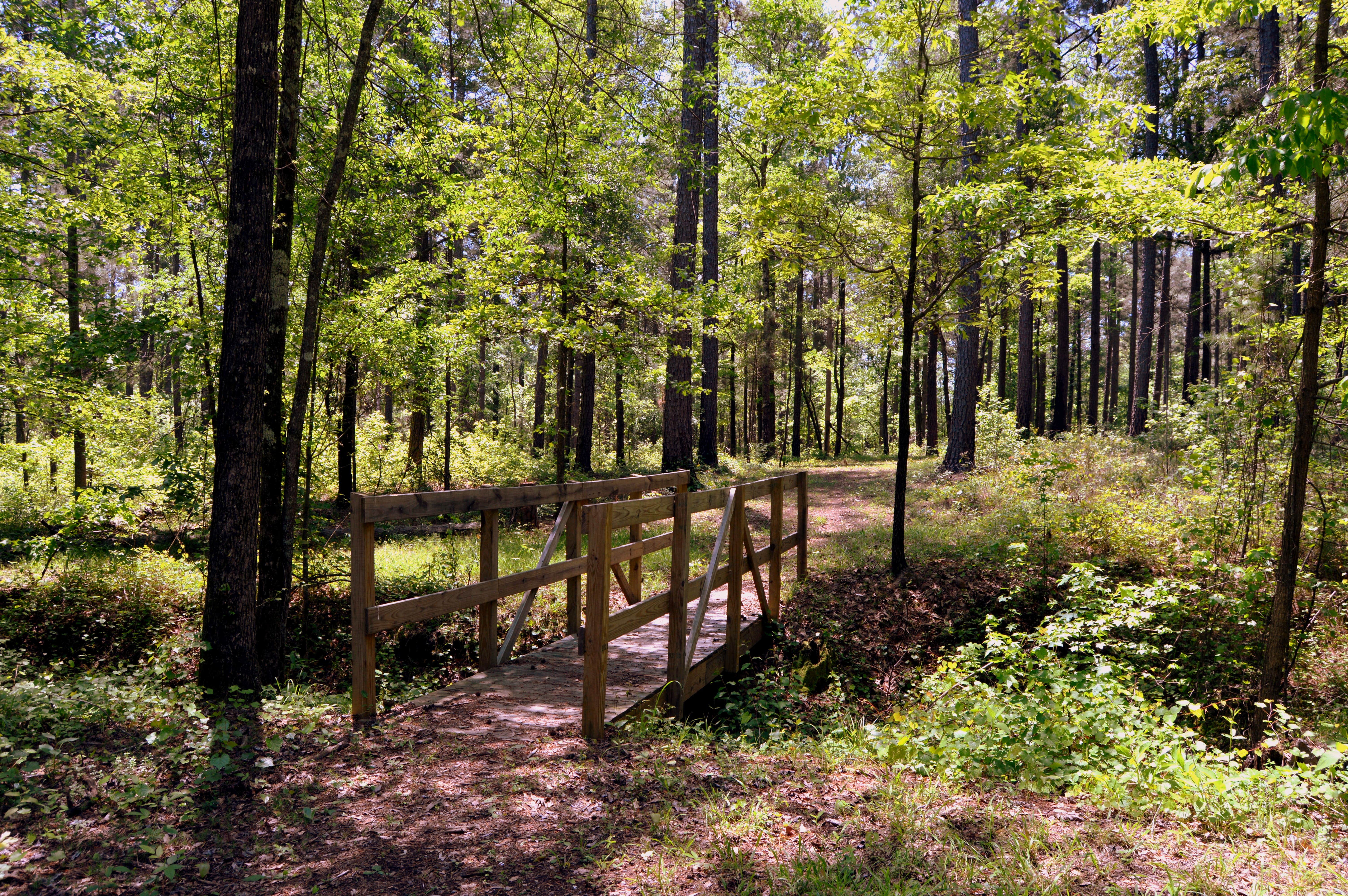 Camper submitted image from Amity Campground - 2