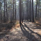 Review photo of Amity Campground by Dorraine S., September 26, 2017