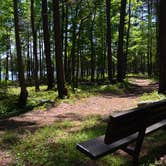 Review photo of Amity Campground by Dorraine S., September 26, 2017