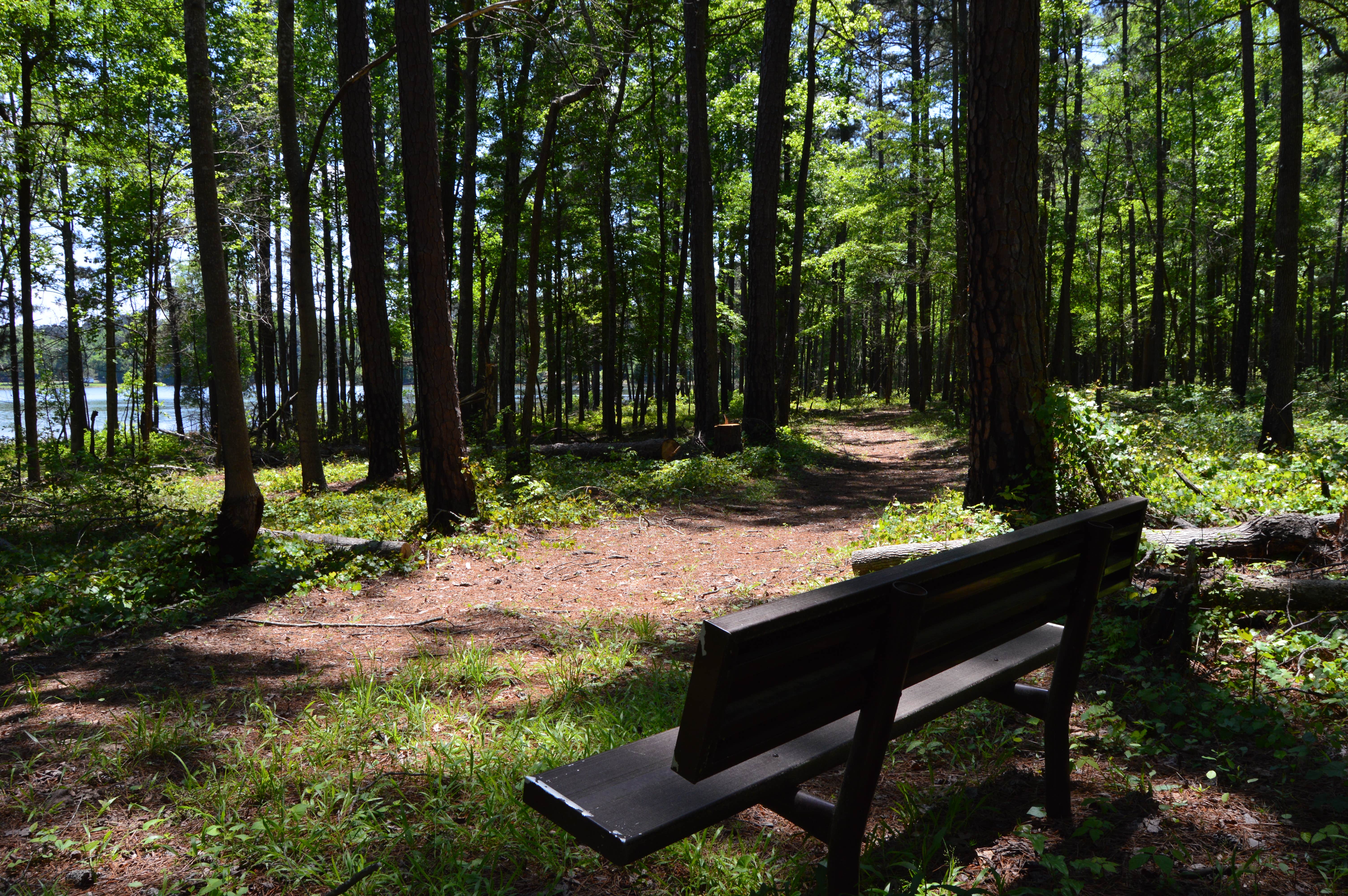 Camper submitted image from Amity Campground - 4