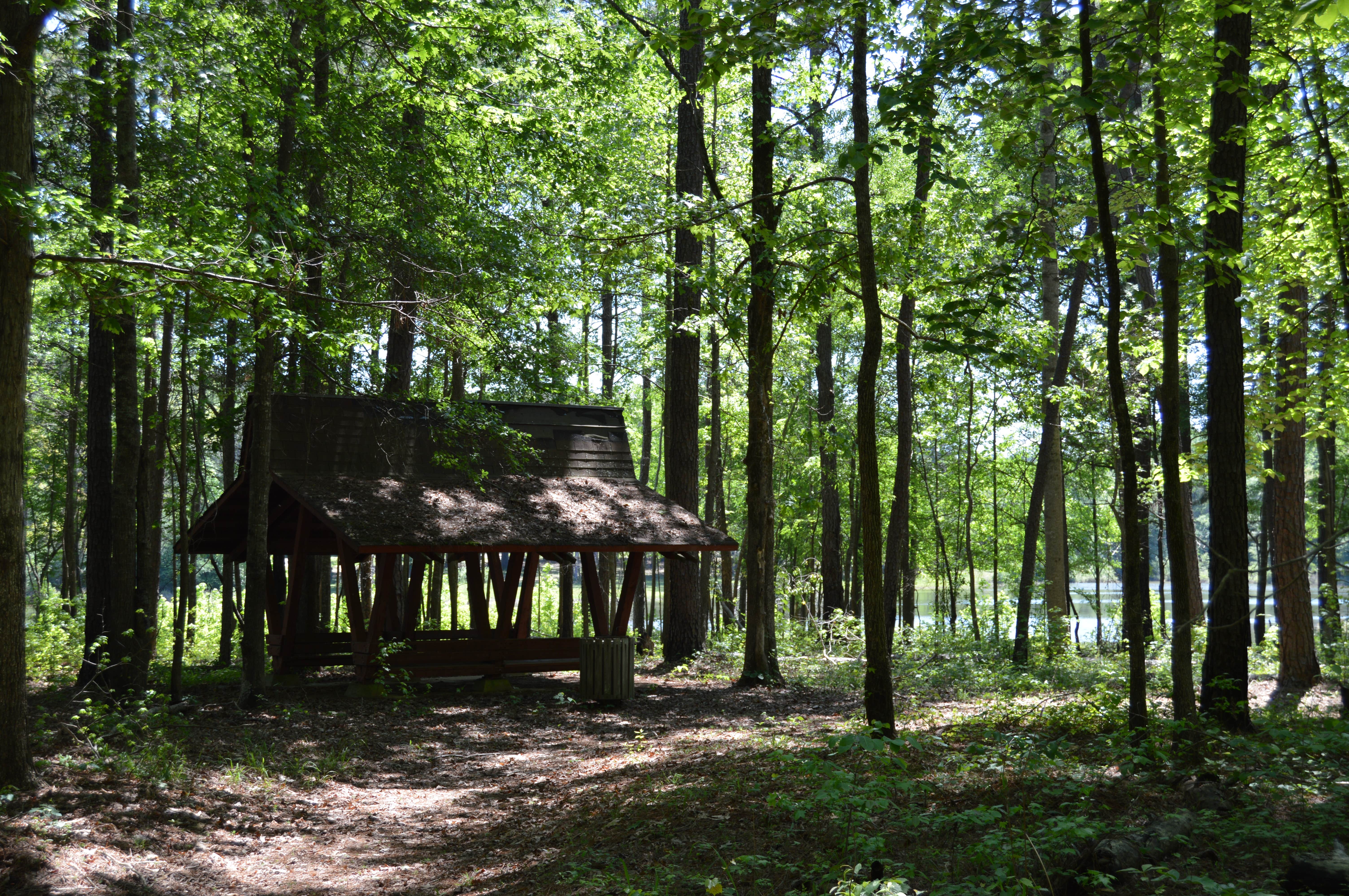 Dorraine S.'s photo of glamping accommodations at Amity Campground near Chattahoochee Hills, GA