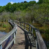 Review photo of Amity Campground by Dorraine S., September 26, 2017