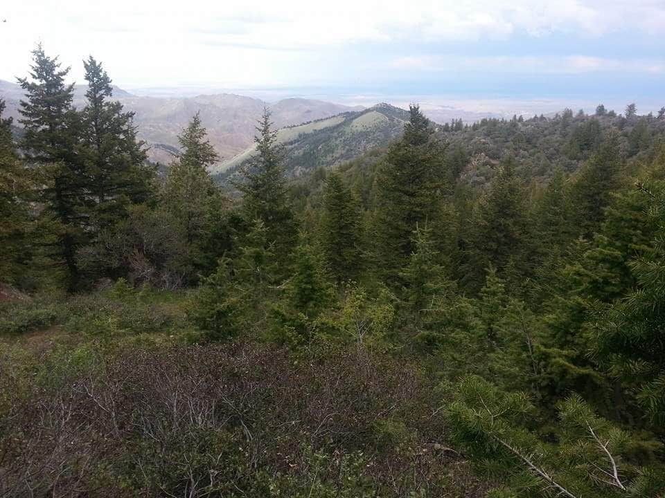 Camper-submitted photo at Silver City Campground near Kuna, ID