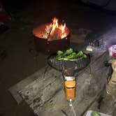 Review photo of Humbug Mountain State Park Campground by Darin D., September 26, 2017