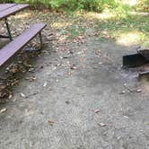 Review photo of Hastings Campground by Sarah C., September 26, 2017