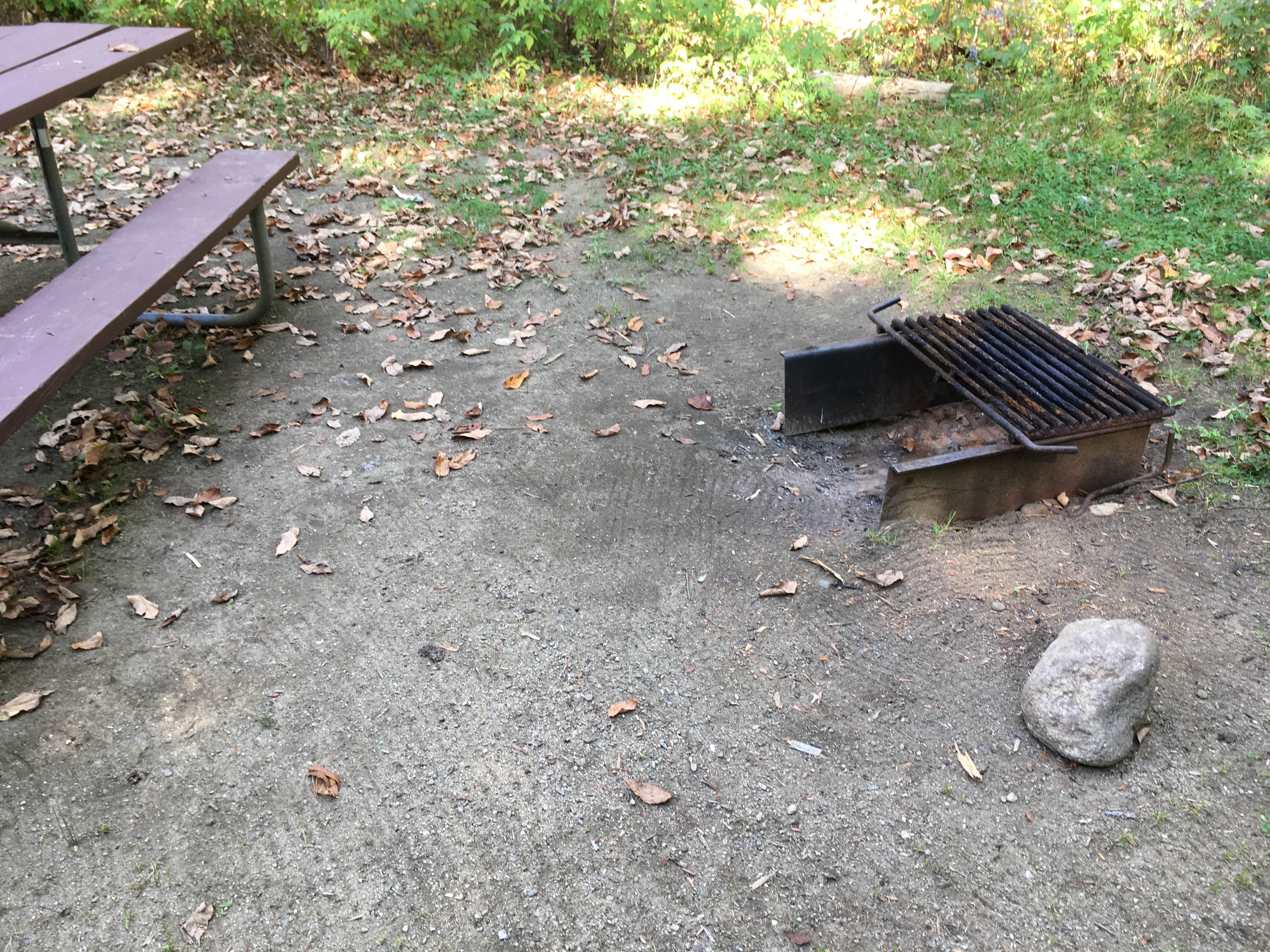 Freshly raked!