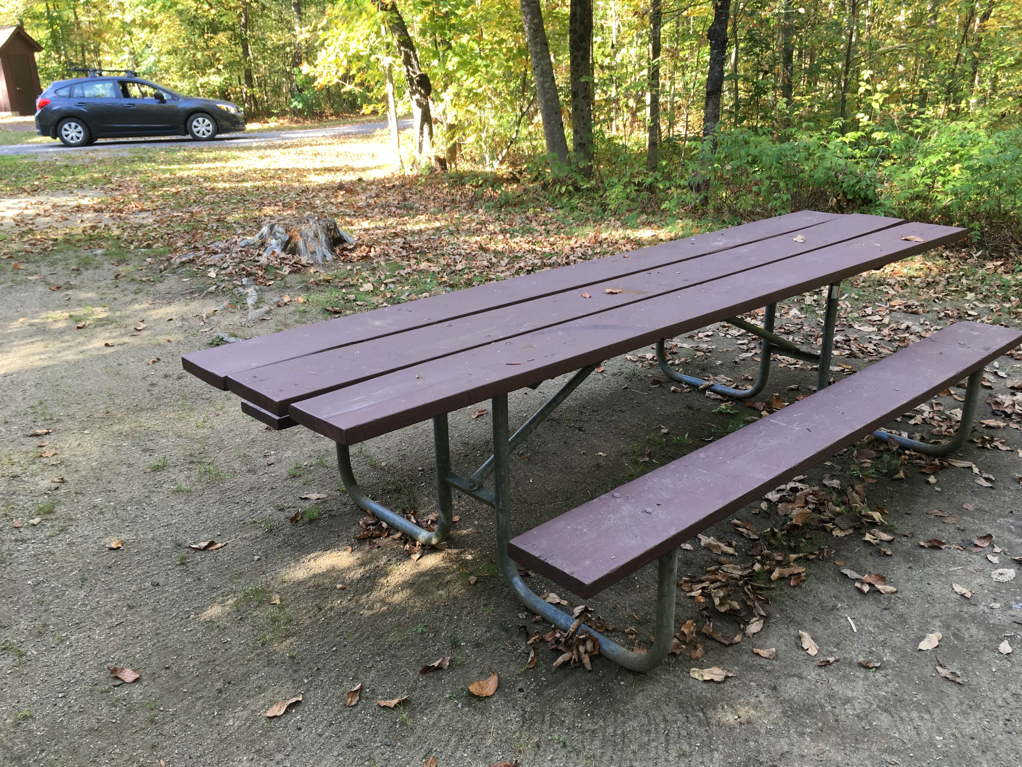 Long picnic table!
