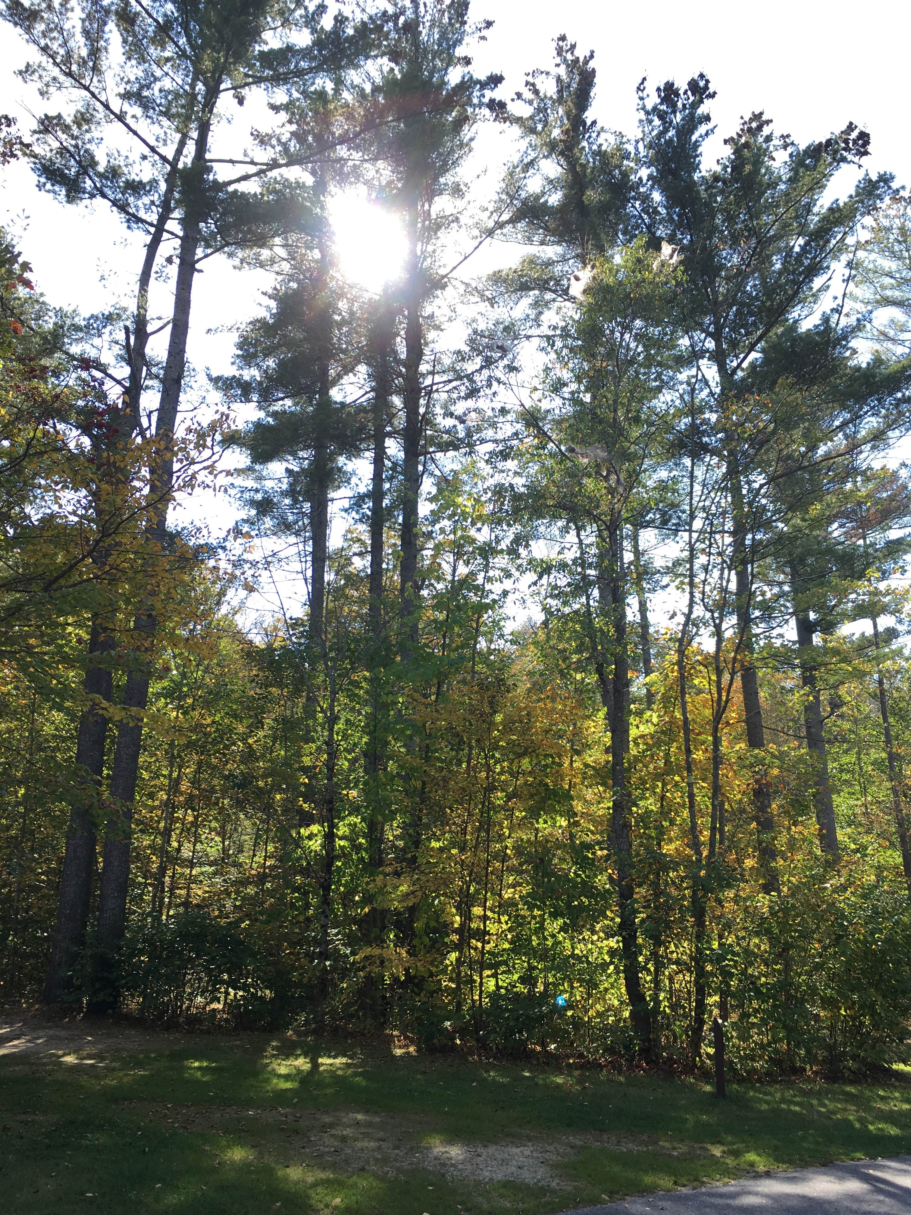 Fall afternoons