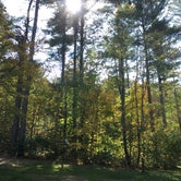 Review photo of Hastings Campground by Sarah C., September 26, 2017