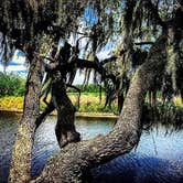 Review photo of Palmetto Ridge Campground — Myakka River State Park by Alyssa D., May 15, 2020