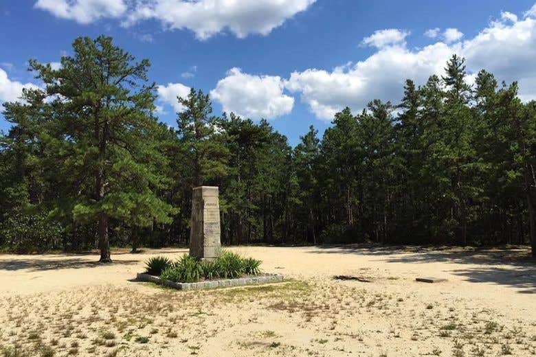 Camper-submitted photo at Batona — Wharton State Forest near Lacey, NJ