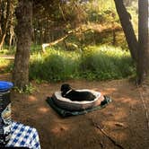 Review photo of Beachside State Recreation Site by Darin D., September 26, 2017