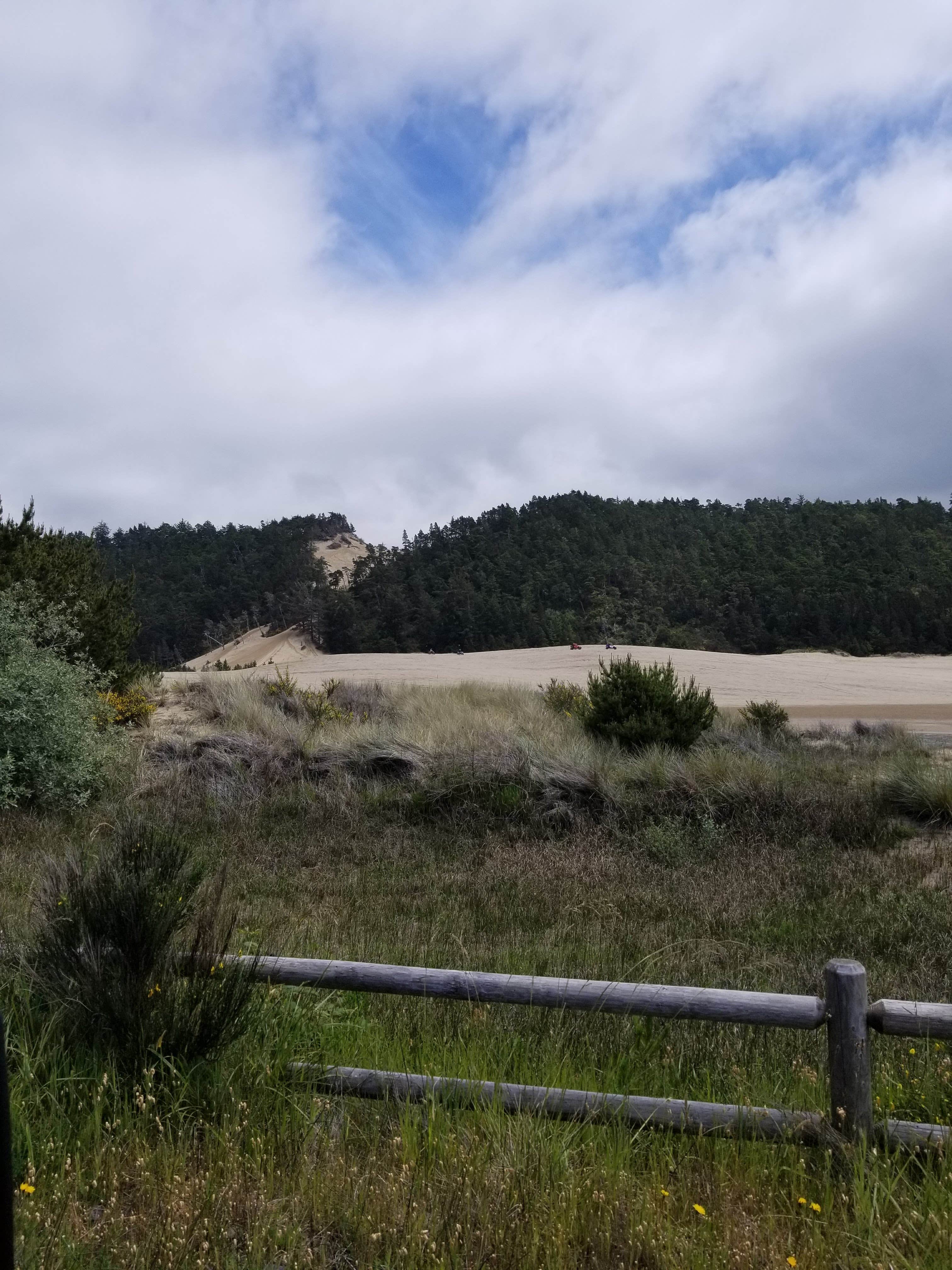 Camper submitted image from Umpqua Sand Camping - 4