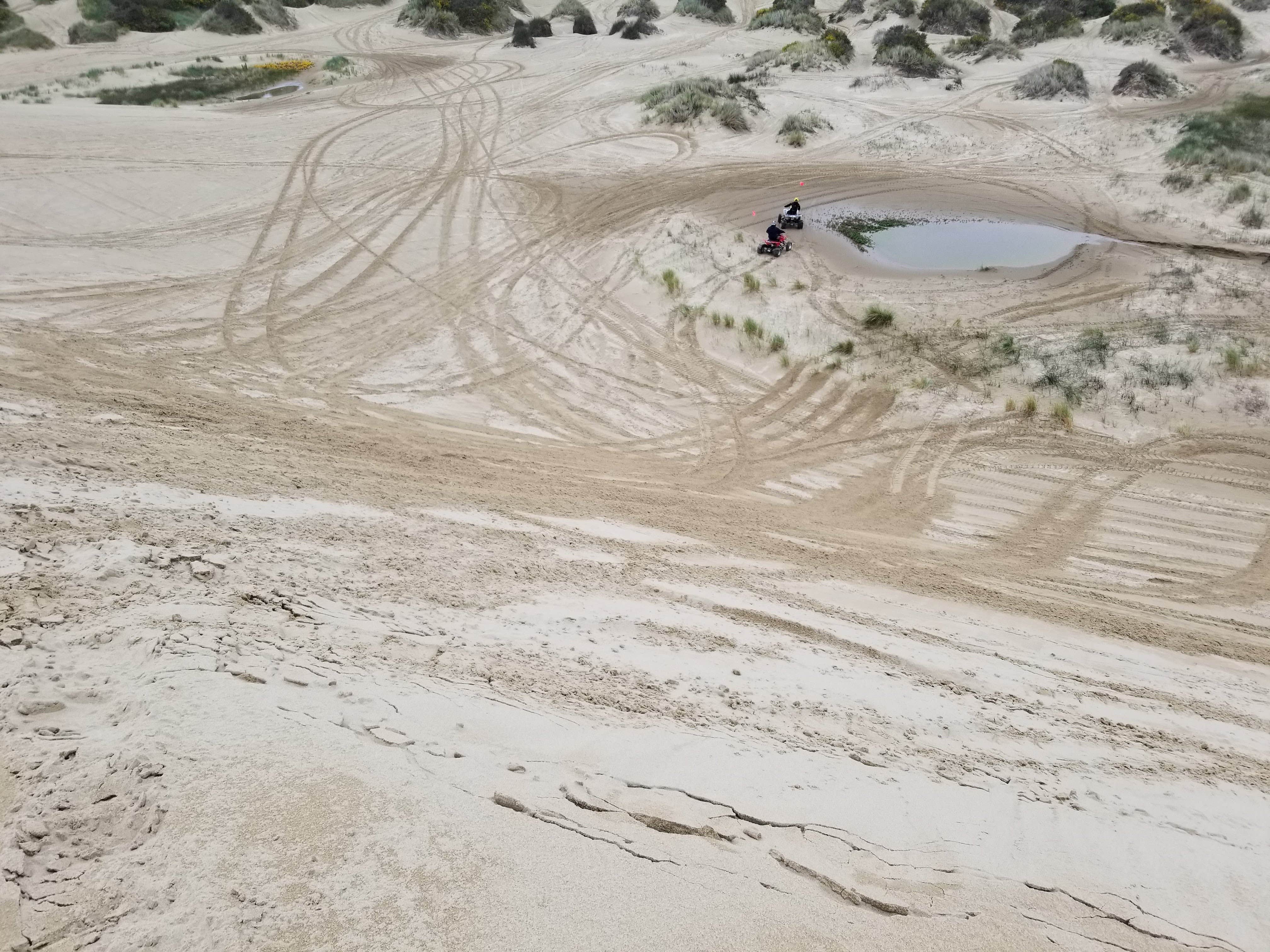 Camper submitted image from Umpqua Sand Camping - 3