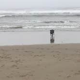 Review photo of Beachside State Recreation Site by Darin D., September 26, 2017