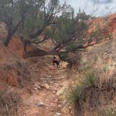 Review photo of Fortress Cliff Primitive — Palo Duro Canyon State Park by Robert  M., May 15, 2020