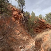Review photo of Palo Duro Canyon State Park Campground by Robert  M., May 15, 2020