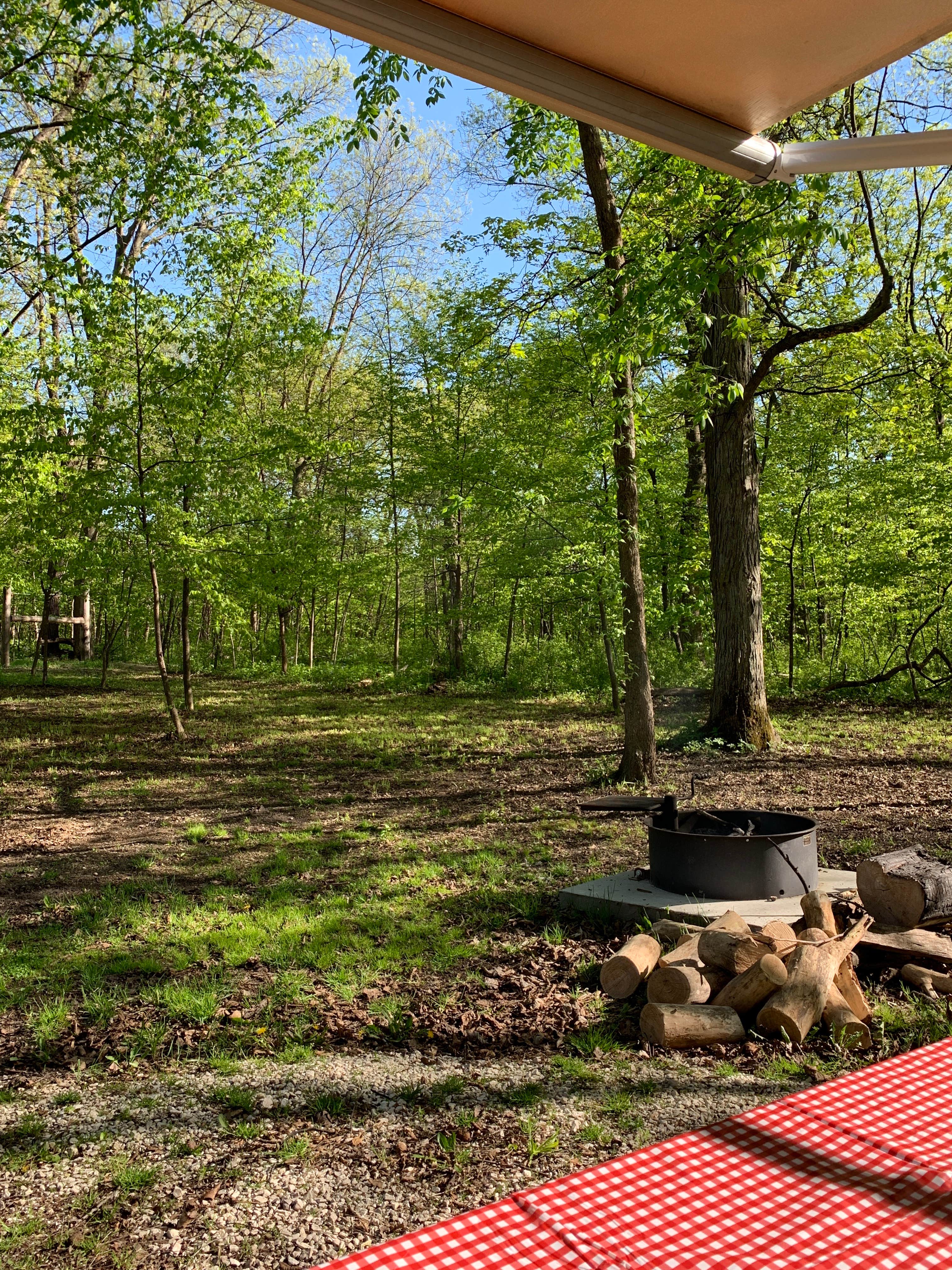 Camper submitted image from South Equestrian Campground — Brushy Creek State Recreation Area - 2