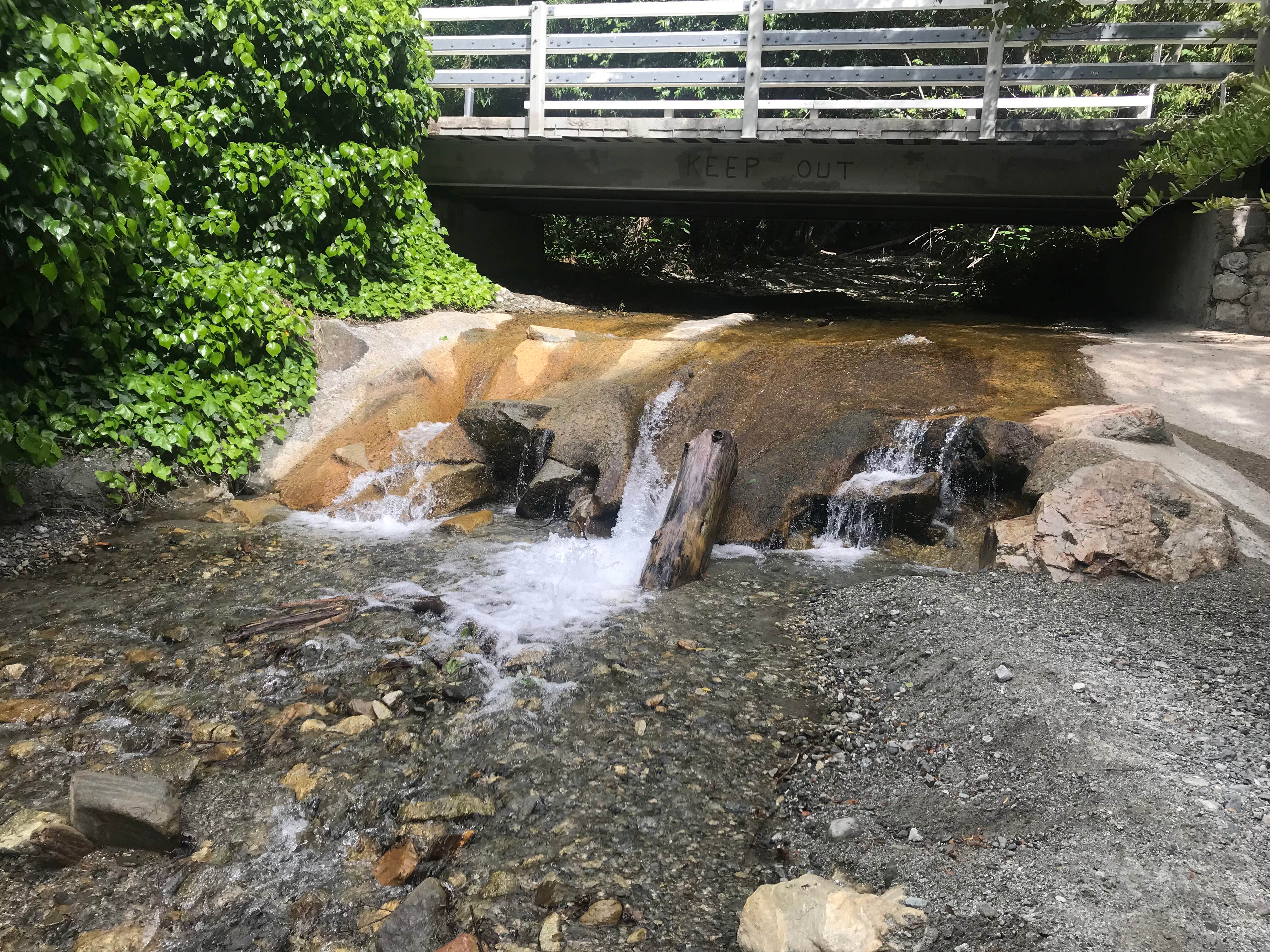 Camper submitted image from Applewhite Campground (Ca) — San Bernardino National Forest - 4