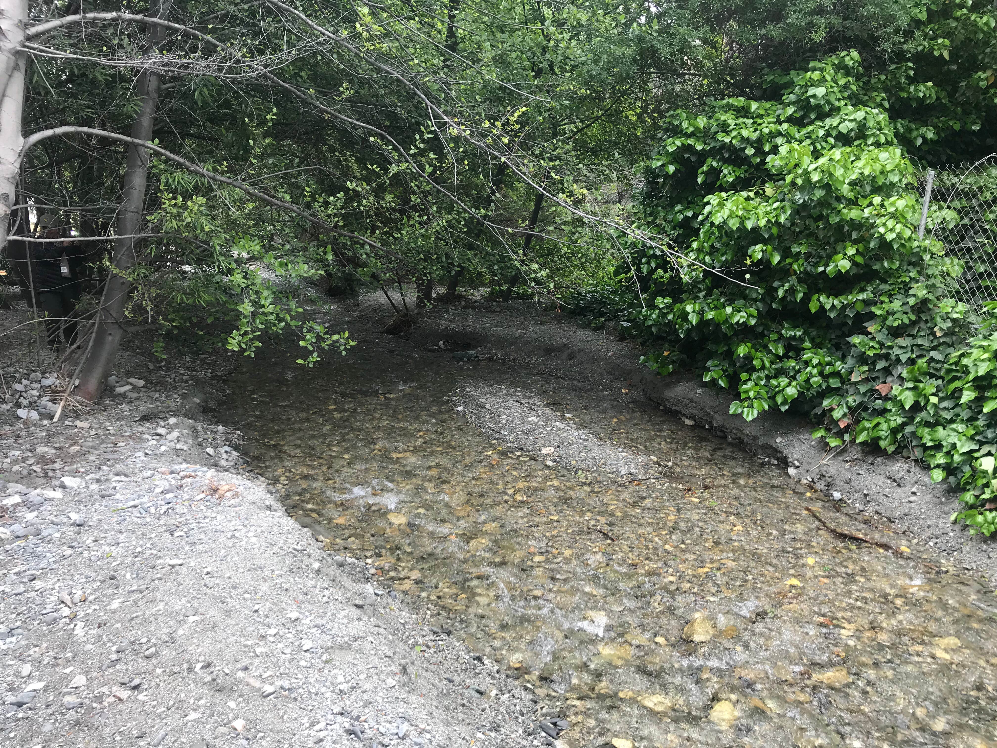 Camper submitted image from Applewhite Campground (Ca) — San Bernardino National Forest - 3