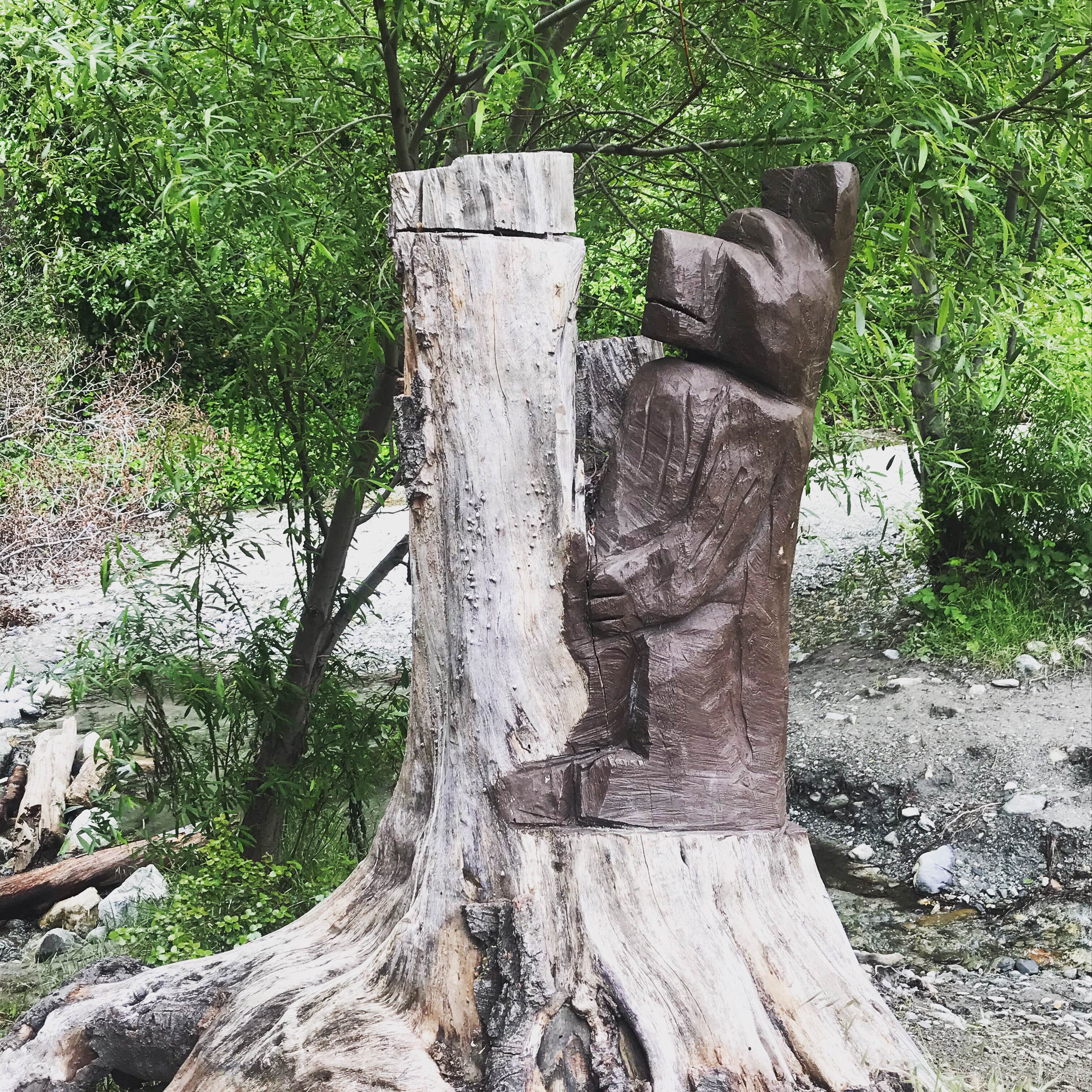 Camper-submitted photo at Applewhite Campground (Ca) — San Bernardino National Forest near Mount Baldy, CA