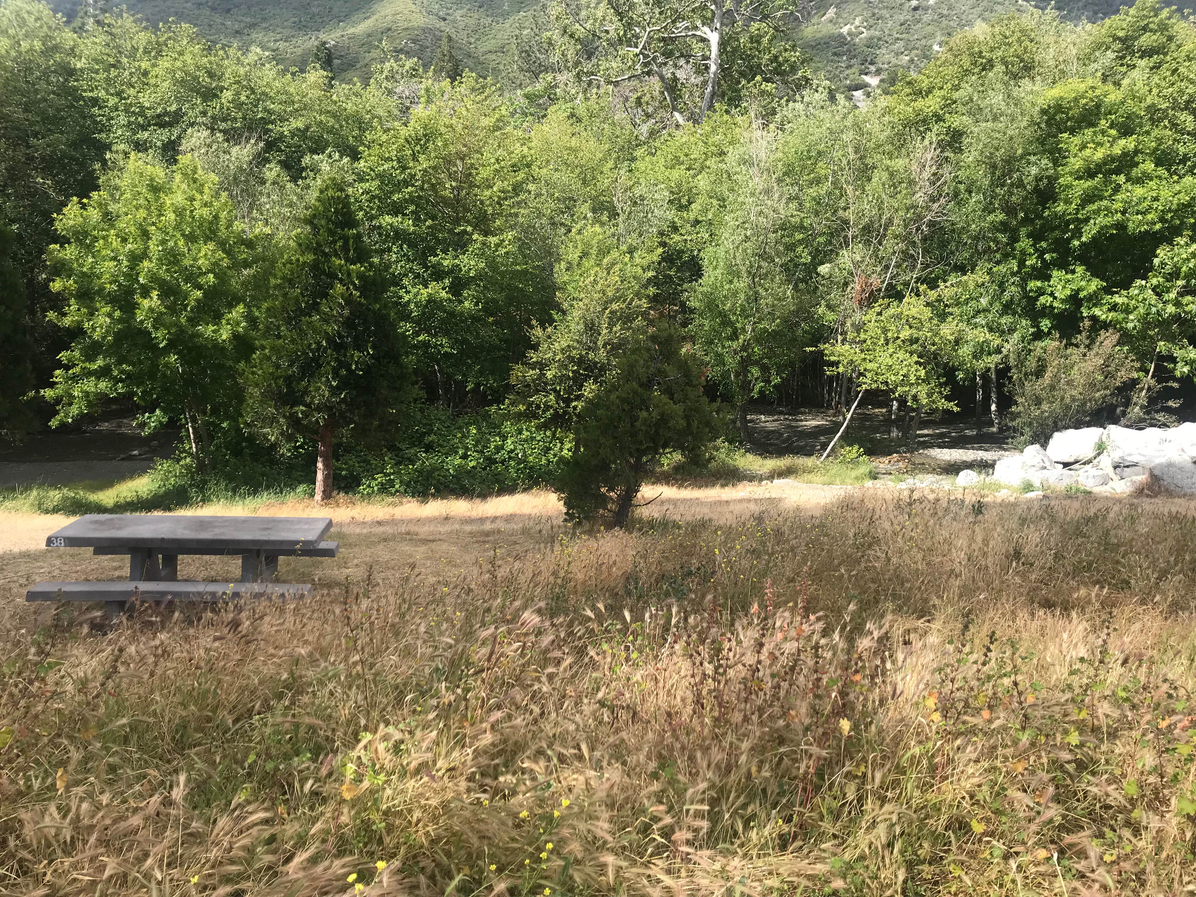 Camper submitted image from Applewhite Campground (Ca) — San Bernardino National Forest - 5