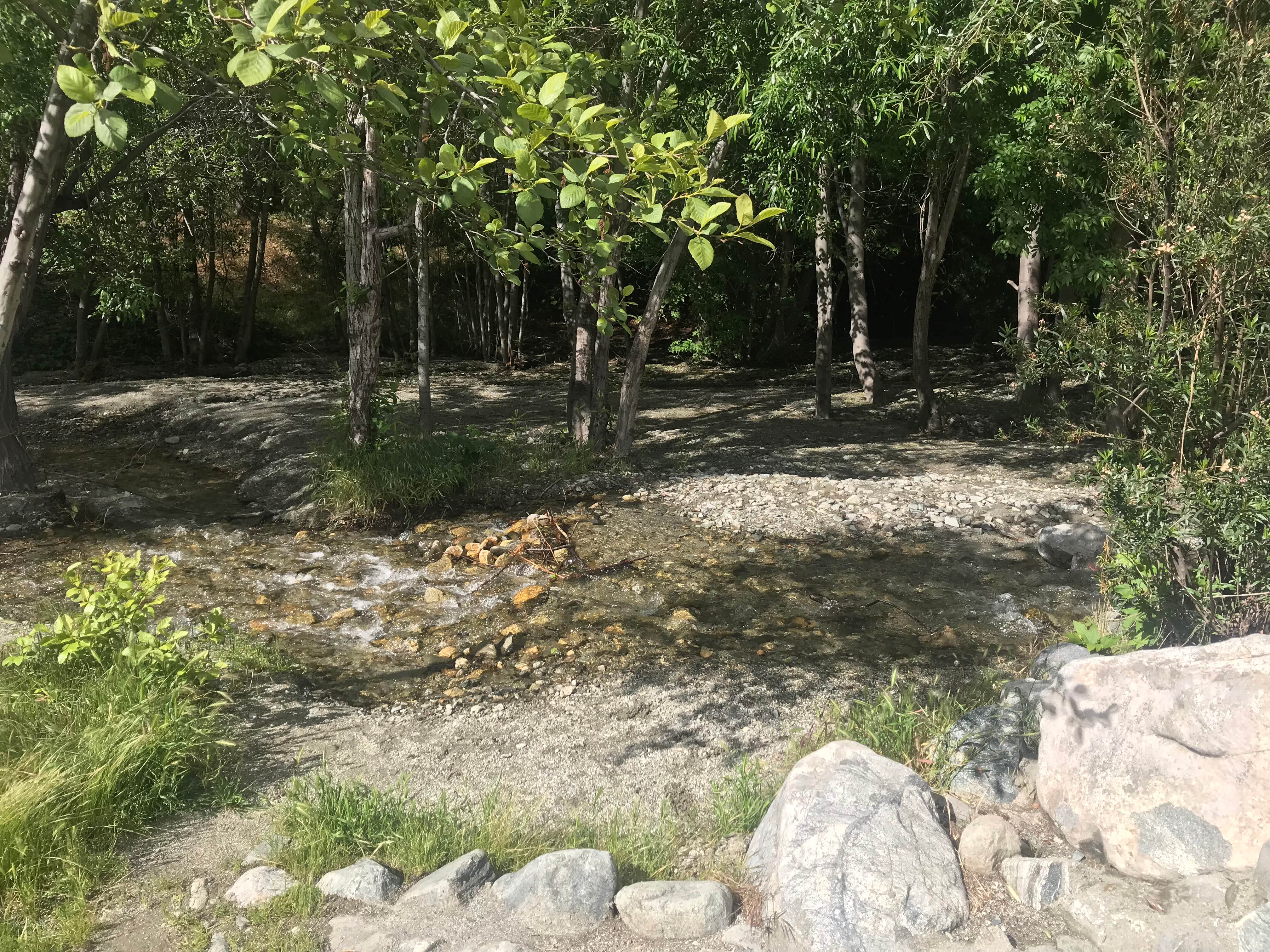 Camper-submitted photo at Applewhite Campground (Ca) — San Bernardino National Forest near Mount Baldy, CA