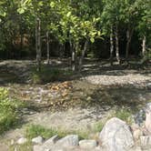 Review photo of Applewhite Campground (Ca) — San Bernardino National Forest by Jessica P., May 15, 2020