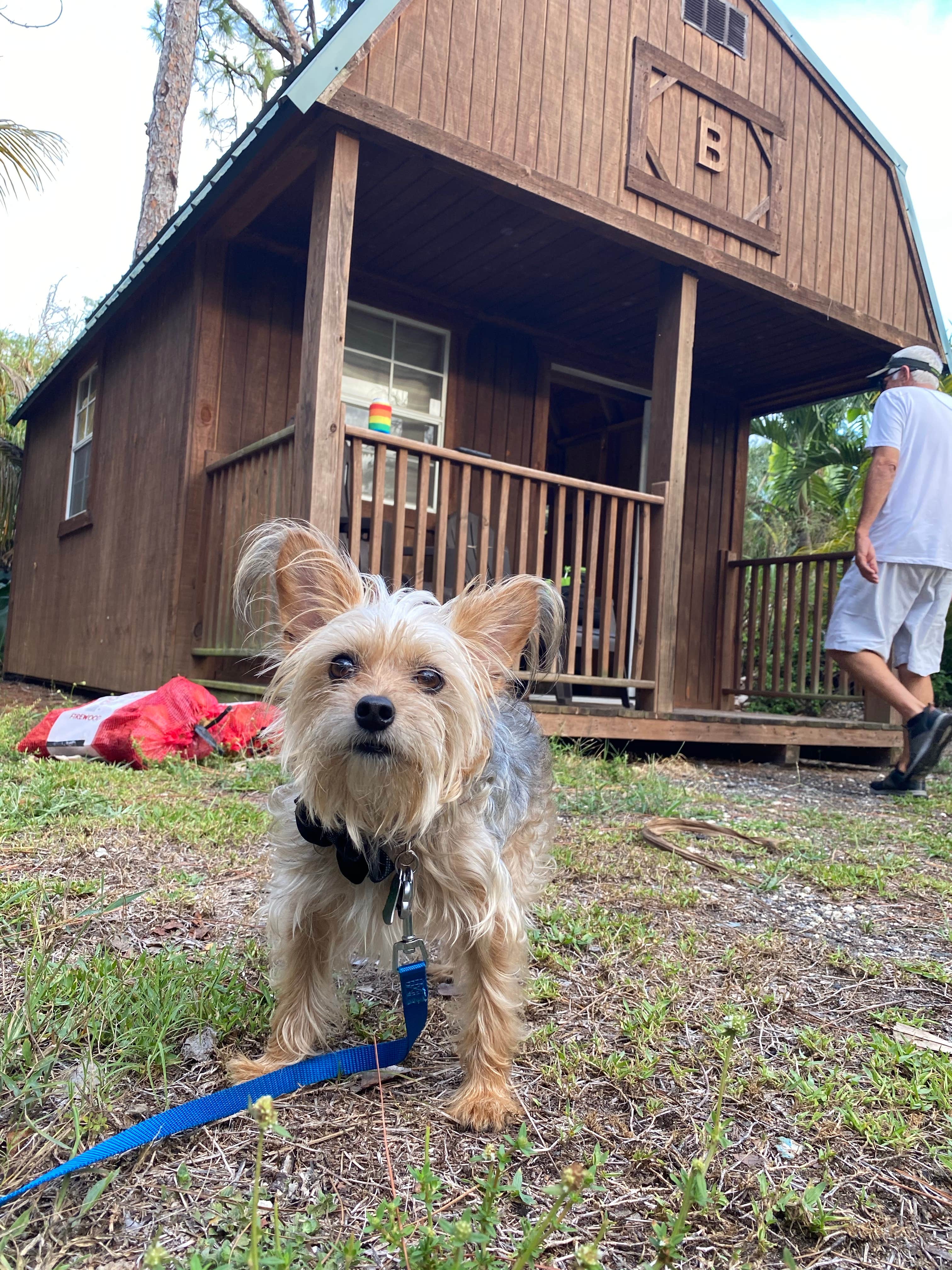 Alyssa D.'s photo of camping with pets at Trail Lakes Campground near Big Cypress National Preserve