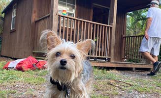 Alyssa D.'s photo of camping with pets at Trail Lakes Campground near Everglades National Park