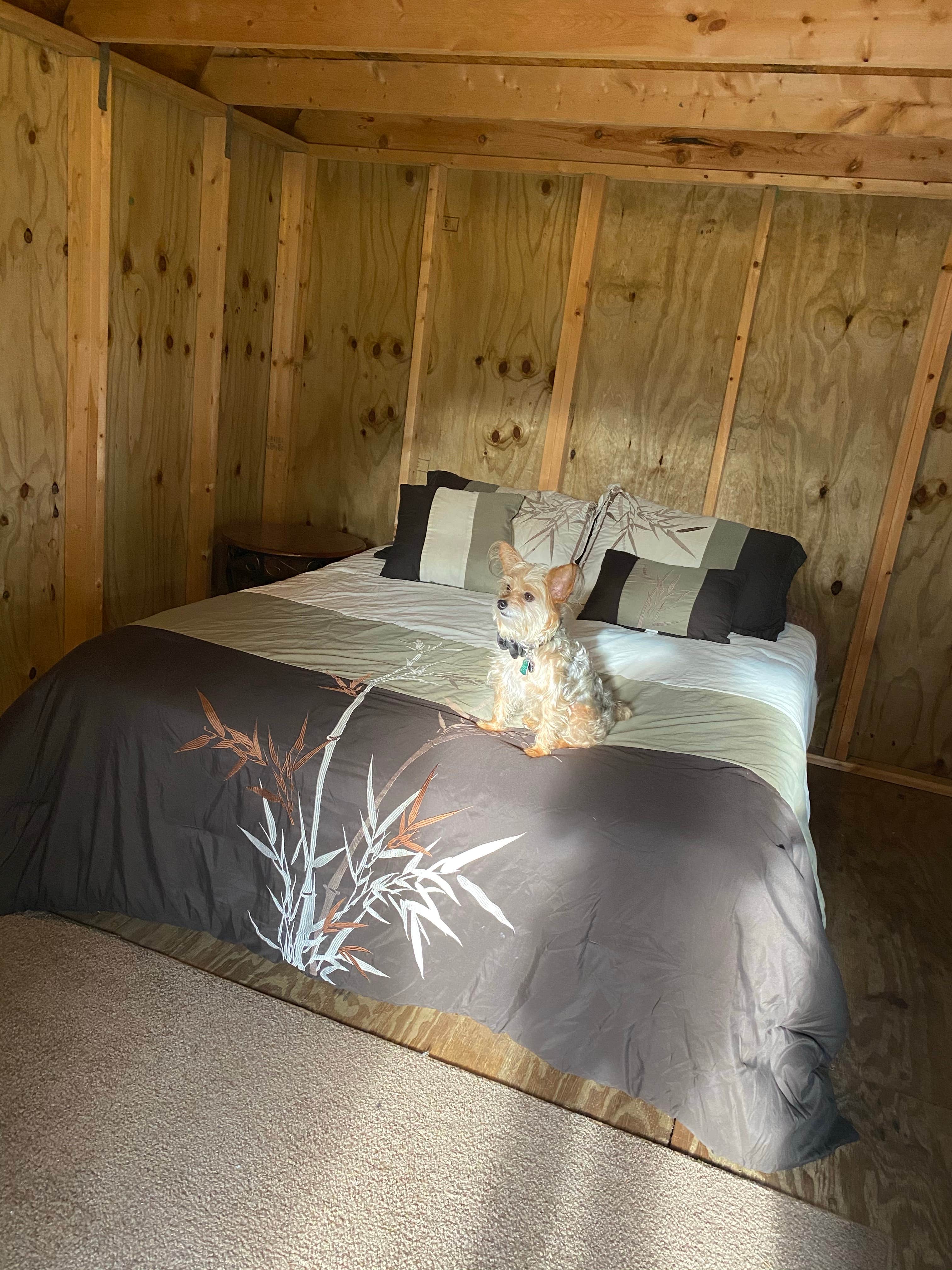 Alyssa D.'s photo of glamping accommodations at Trail Lakes Campground near Marco Island, FL