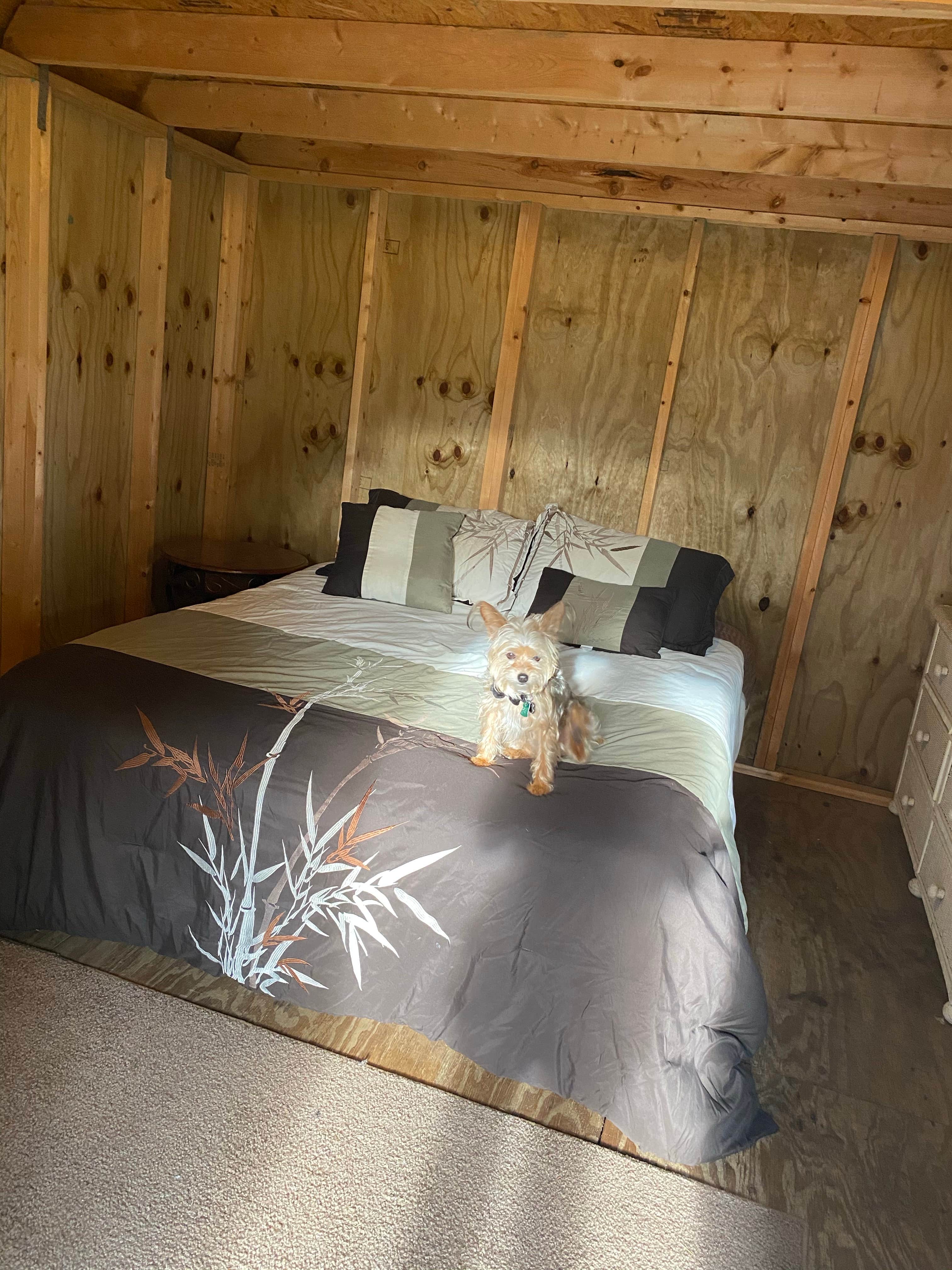 Alyssa D.'s photo of camping with pets at Trail Lakes Campground near Marco Island, FL