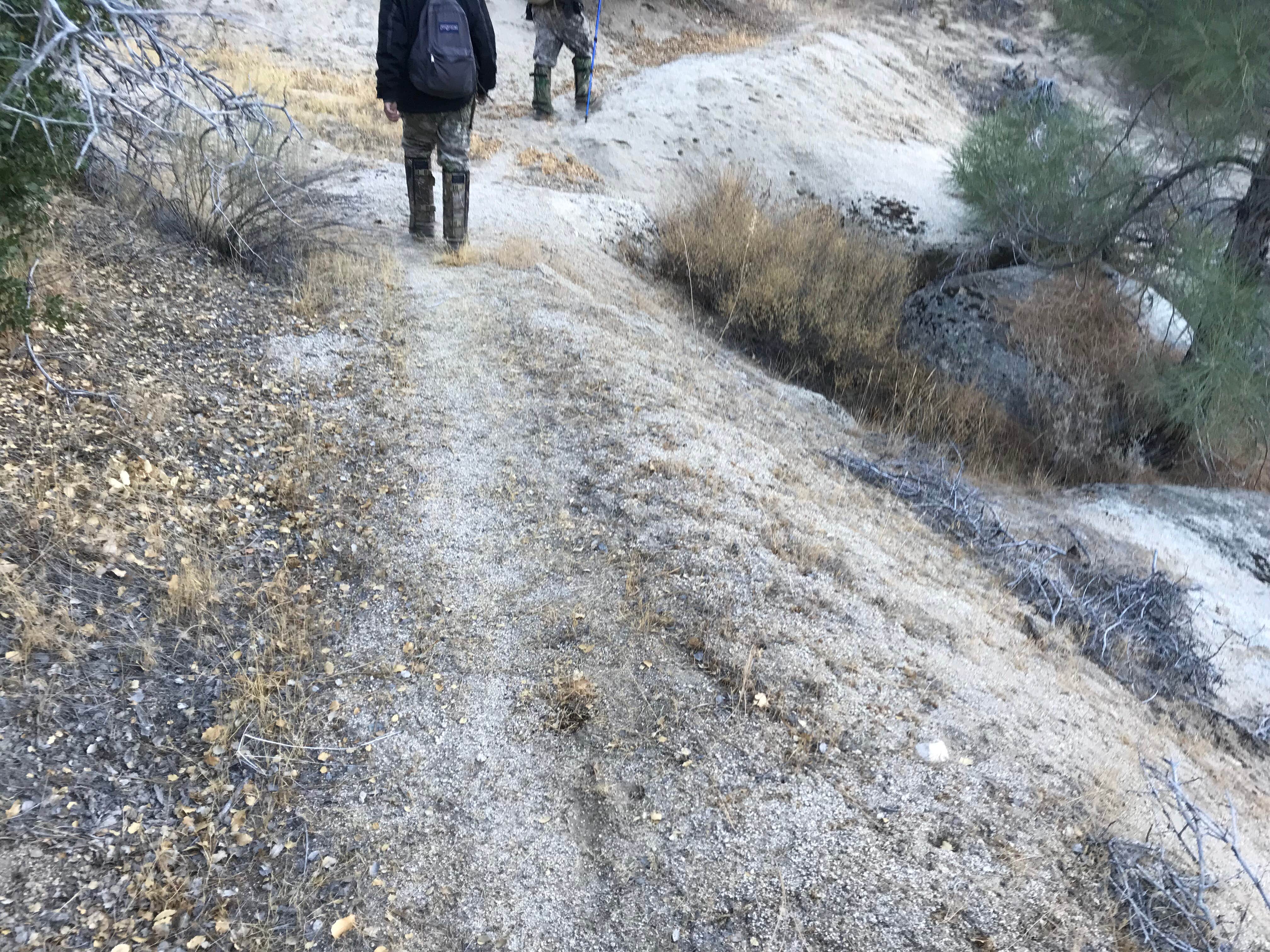 Camper-submitted photo at Lower Peppermint Campground near Sequoia National Forest