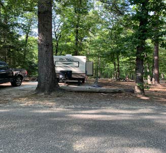 Camper-submitted photo from Elijah Clark State Park Campground